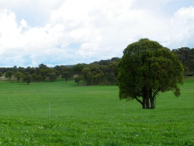Aberfoyle NSW 2350