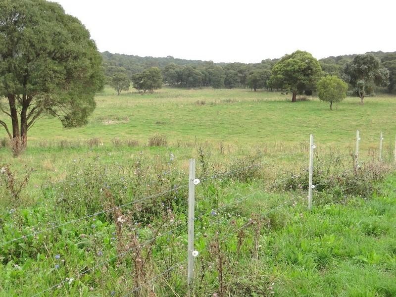 Aberfoyle NSW 2350