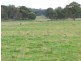 Aberfoyle NSW 2350