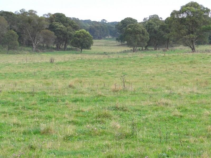 Aberfoyle NSW 2350