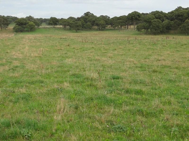 Aberfoyle NSW 2350