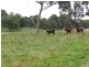 Aberfoyle NSW 2350
