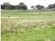 Guyra NSW 2365