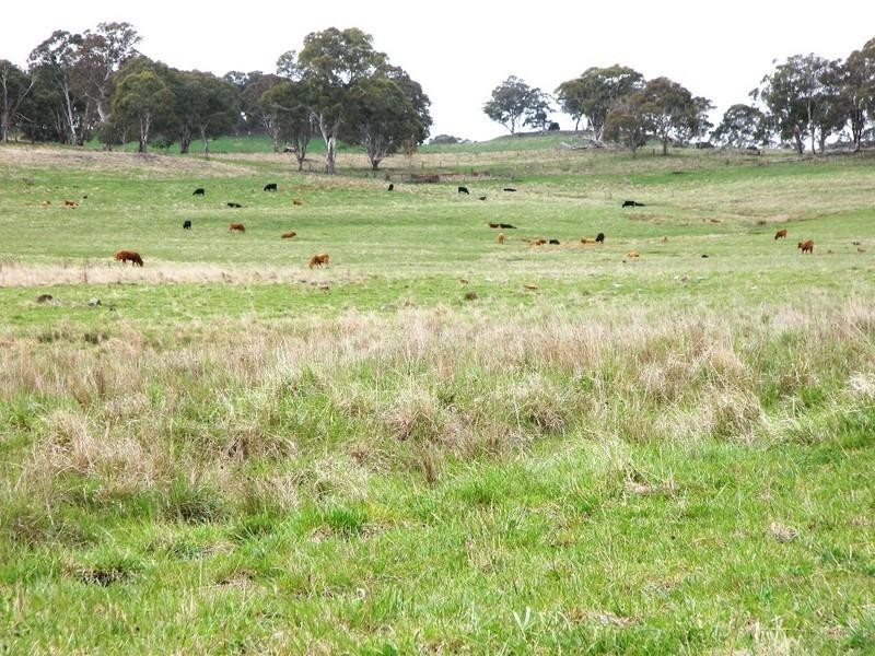 Guyra NSW 2365