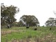 Guyra NSW 2365