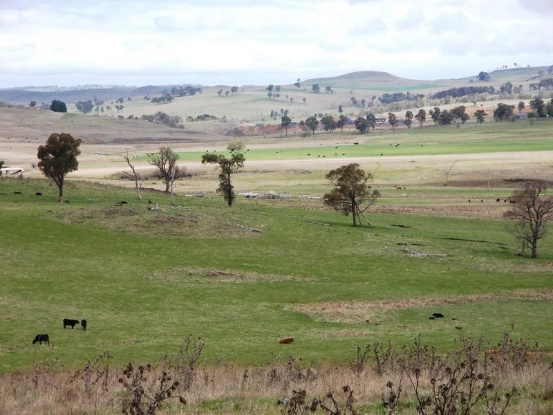 Guyra NSW 2365