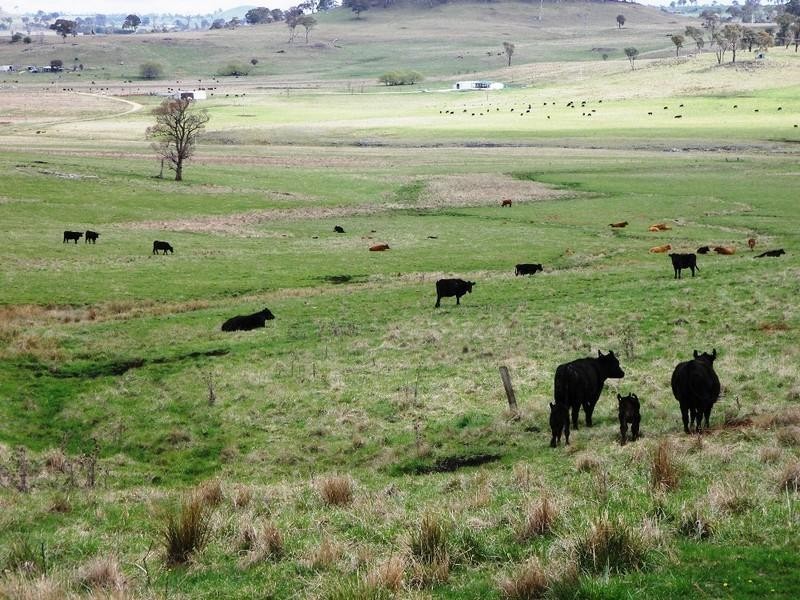 Guyra NSW 2365