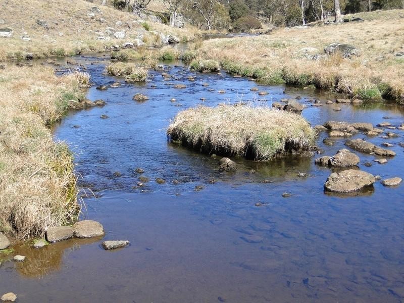 Ebor NSW 2453