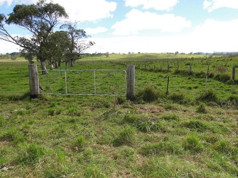 Ebor NSW 2453