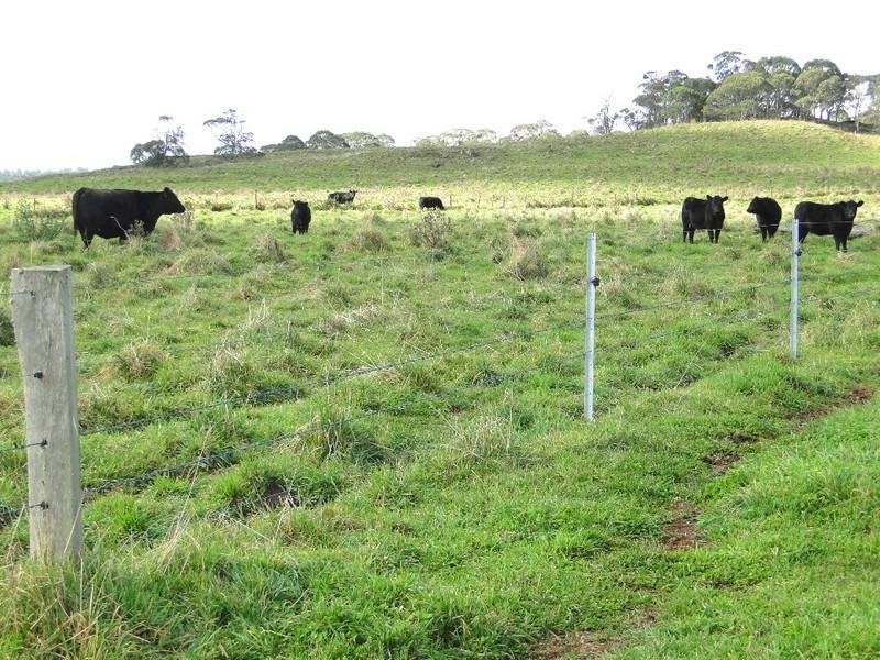 Ebor NSW 2453
