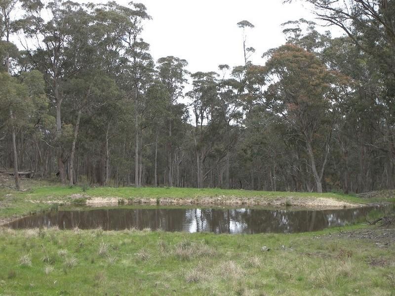 145 Old Ebor Road, Guyra NSW 2365