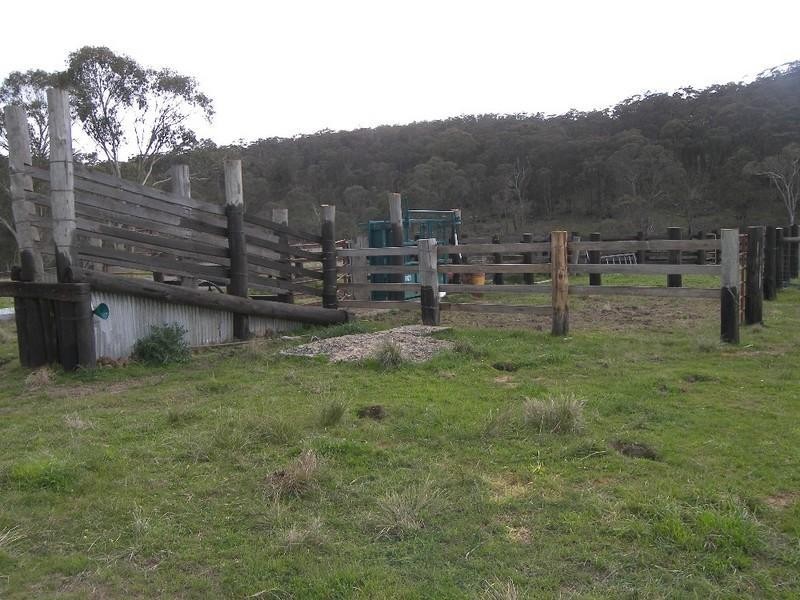 145 Old Ebor Road, Guyra NSW 2365