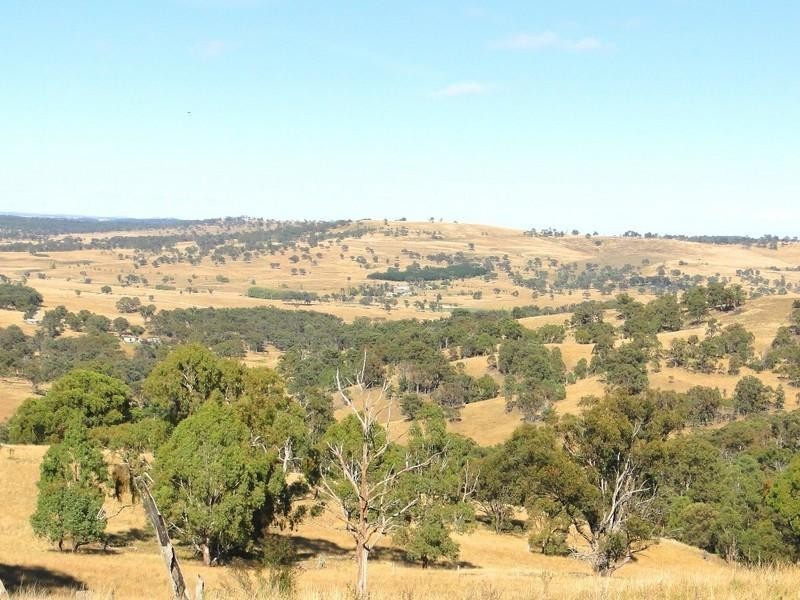 46 “Ennis View” Armidale Gully Road, Armidale NSW 2350