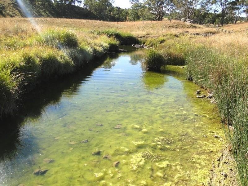 46 “Ennis View” Armidale Gully Road, Armidale NSW 2350