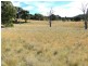 46 “Ennis View” Armidale Gully Road, Armidale NSW 2350