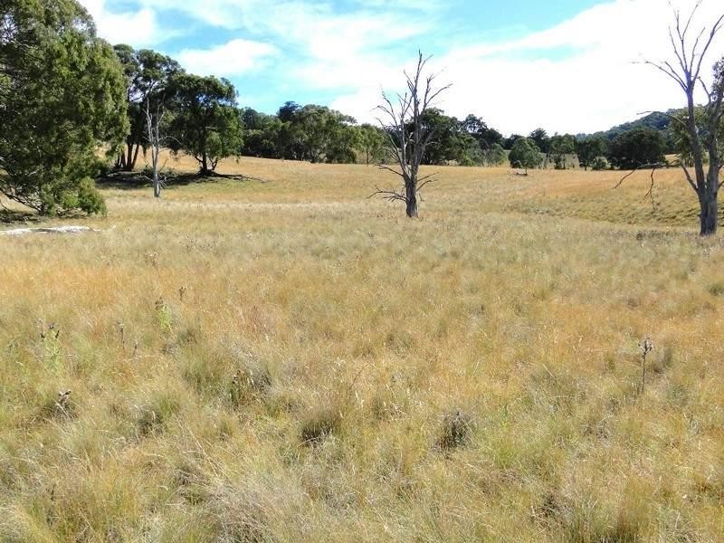 46 “Ennis View” Armidale Gully Road, Armidale NSW 2350