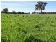 Guyra NSW 2365