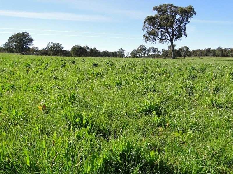 Guyra NSW 2365