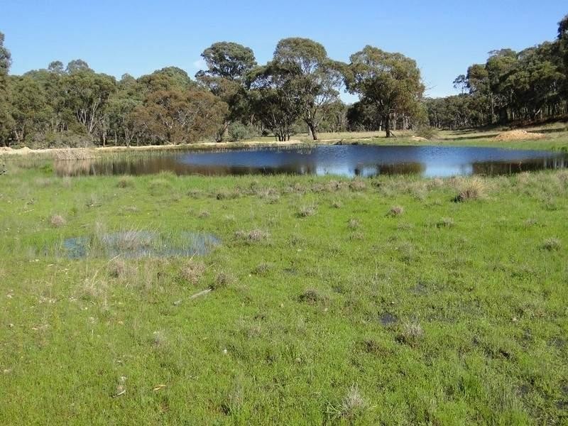 Guyra NSW 2365