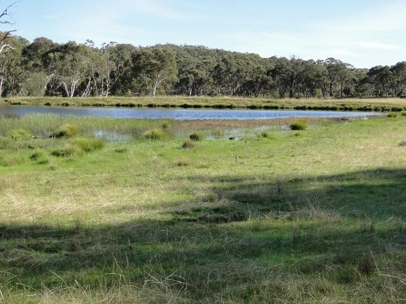Guyra NSW 2365