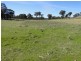 Guyra NSW 2365