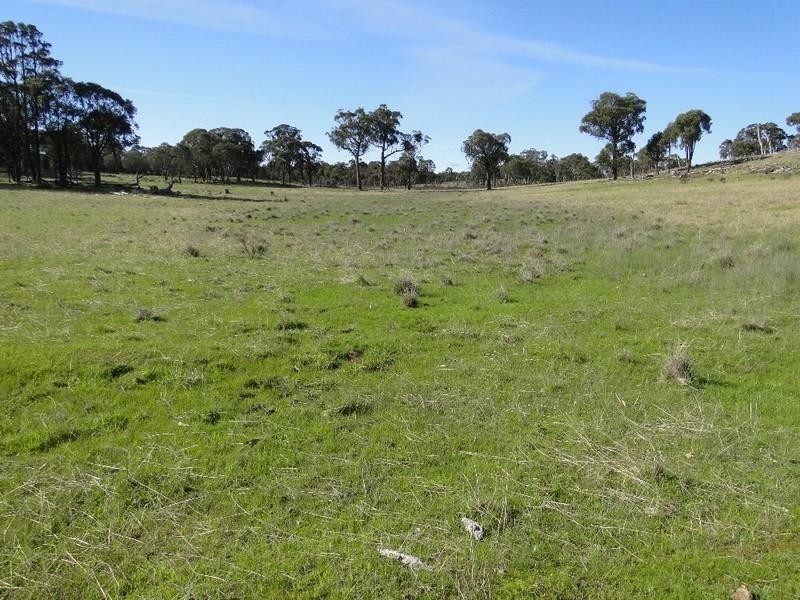 Guyra NSW 2365