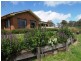 Ben Lomond NSW 2365