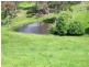 Ben Lomond NSW 2365