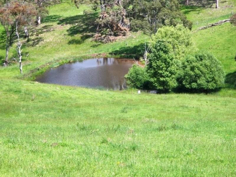 Ben Lomond NSW 2365