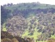 Ben Lomond NSW 2365