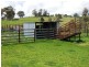 Ben Lomond NSW 2365