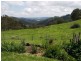 Ben Lomond NSW 2365