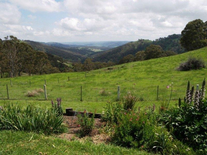 Ben Lomond NSW 2365