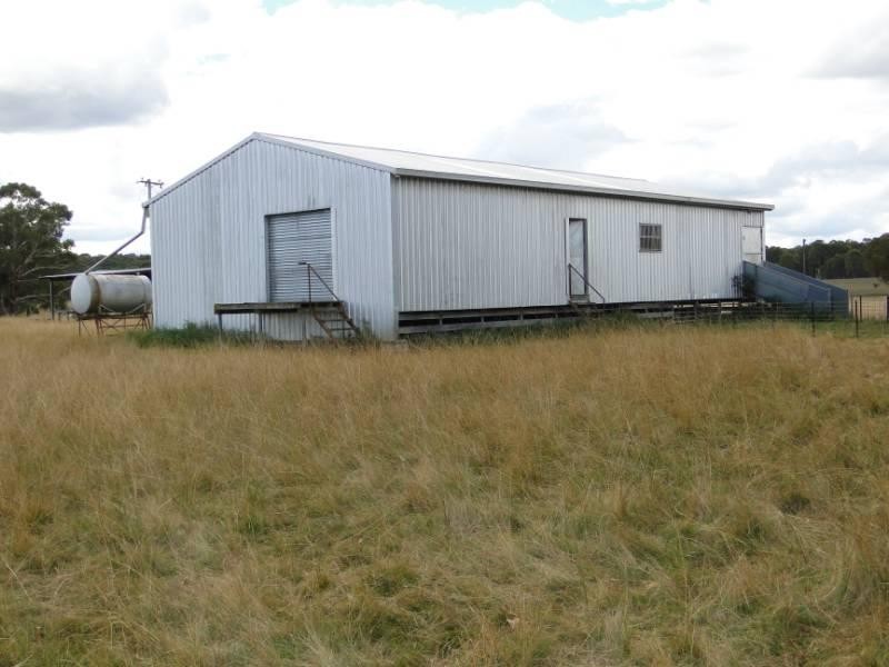 754 “Nariel” Junction Road, Guyra NSW 2365