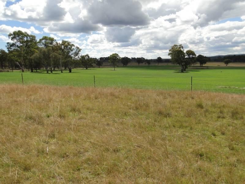 754 “Nariel” Junction Road, Guyra NSW 2365