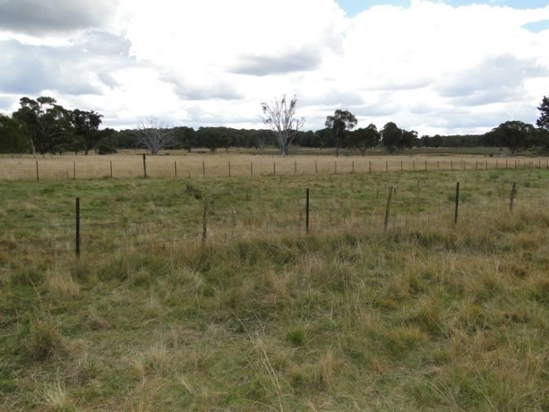 754 “Nariel” Junction Road, Guyra NSW 2365