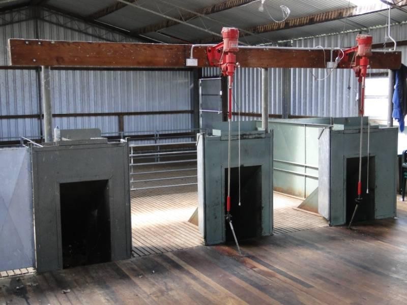 754 “Nariel” Junction Road, Guyra NSW 2365