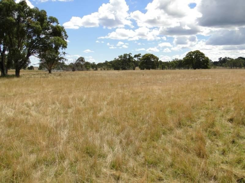 754 “Nariel” Junction Road, Guyra NSW 2365