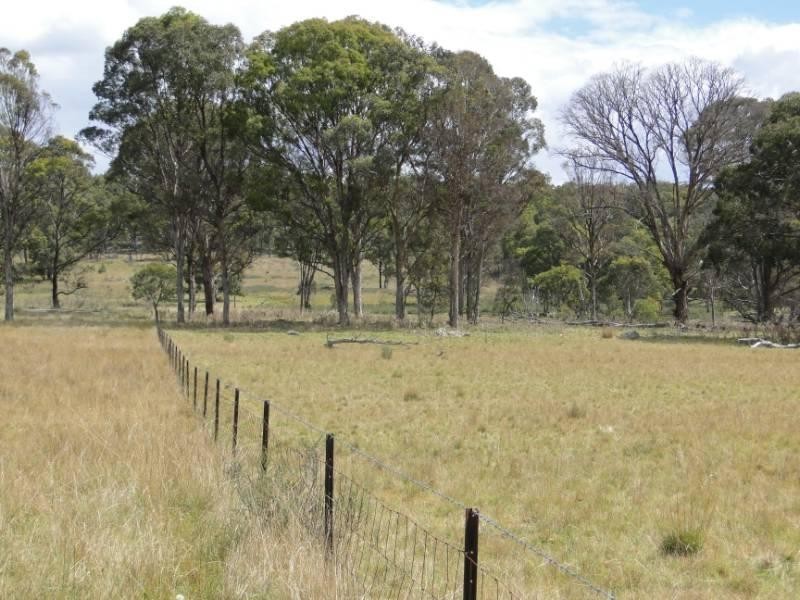 754 “Nariel” Junction Road, Guyra NSW 2365