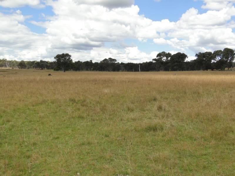 754 “Nariel” Junction Road, Guyra NSW 2365