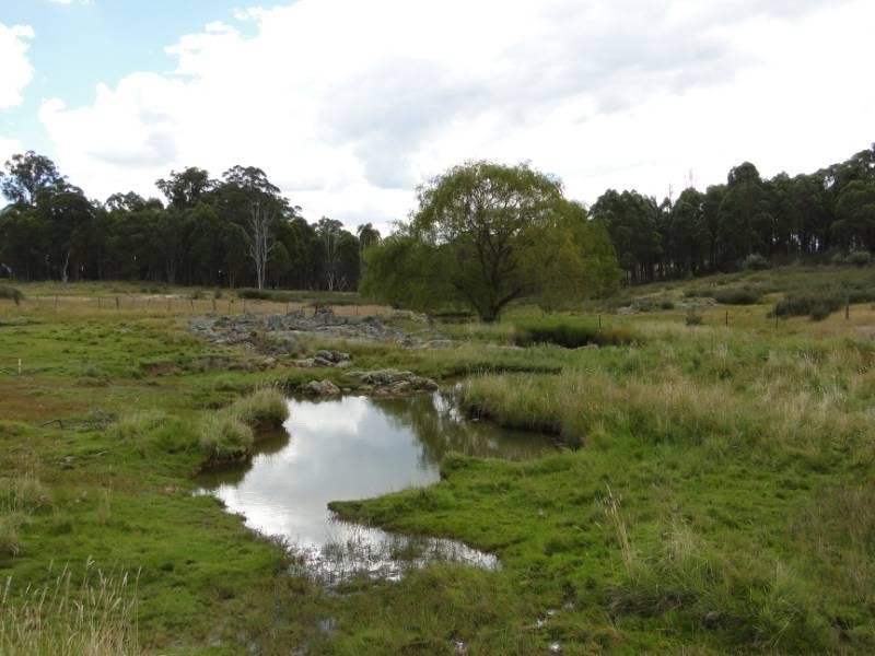 754 “Nariel” Junction Road, Guyra NSW 2365