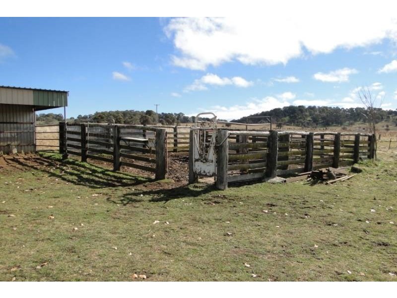 181 Whans Road, Llangothlin NSW 2365