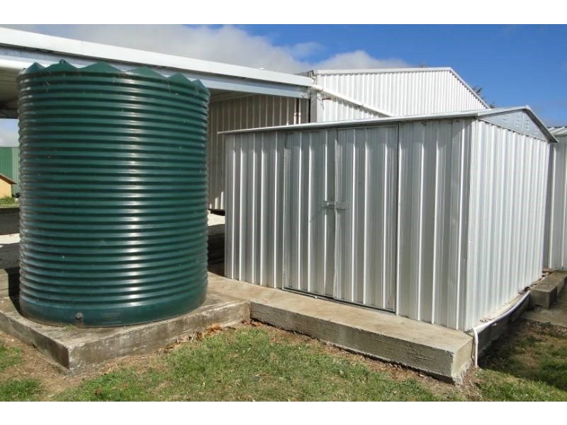 181 Whans Road, Llangothlin NSW 2365