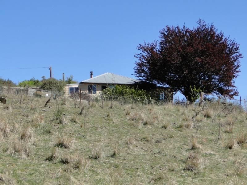 35 Gardiner Street, Guyra NSW 2365