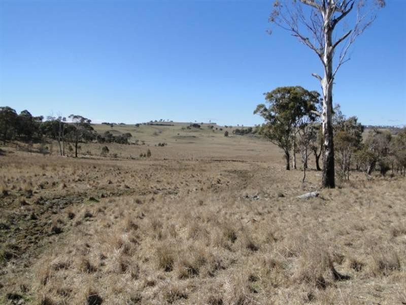 37 Gardiner Street, Guyra NSW 2365