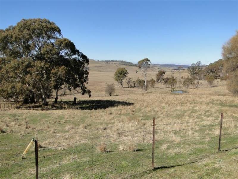 37 Gardiner Street, Guyra NSW 2365