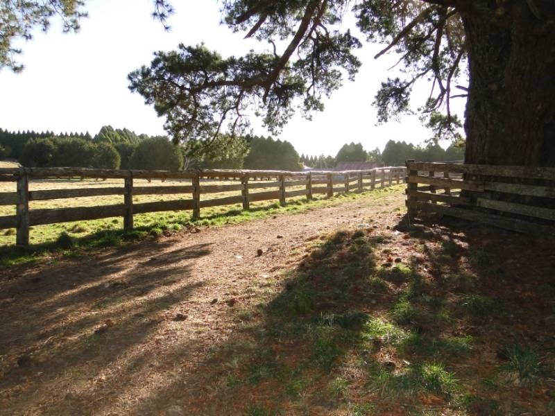 7986 “Kincora” Waterfall Way, Ebor NSW 2453