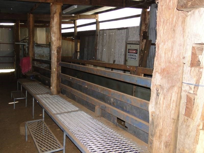 7986 “Kincora” Waterfall Way, Ebor NSW 2453