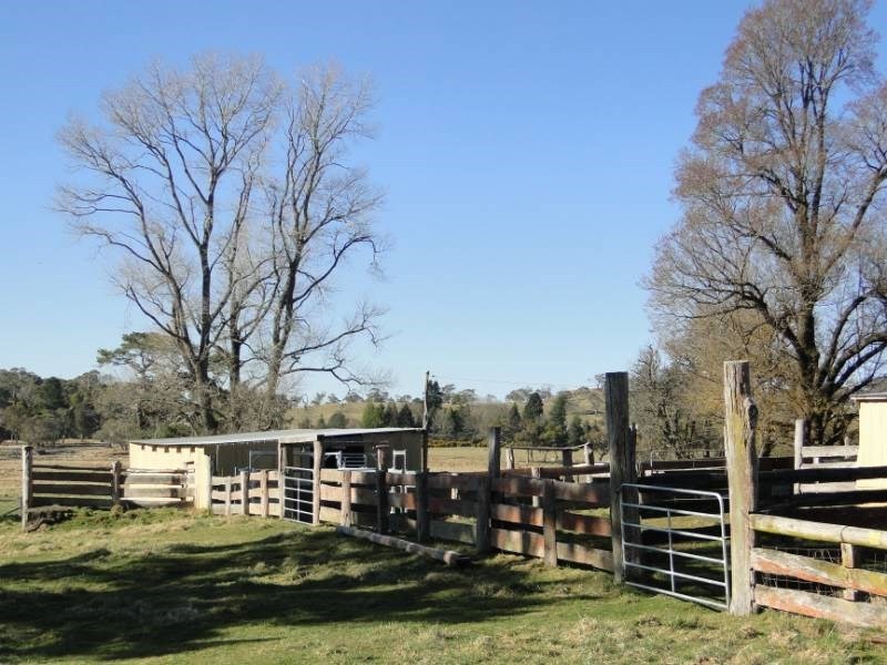 7986 “Kincora” Waterfall Way, Ebor NSW 2453