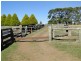 7986 “Kincora” Waterfall Way, Ebor NSW 2453